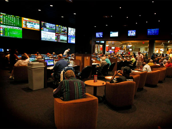 fanduel sportsbook tioga downs parlay card