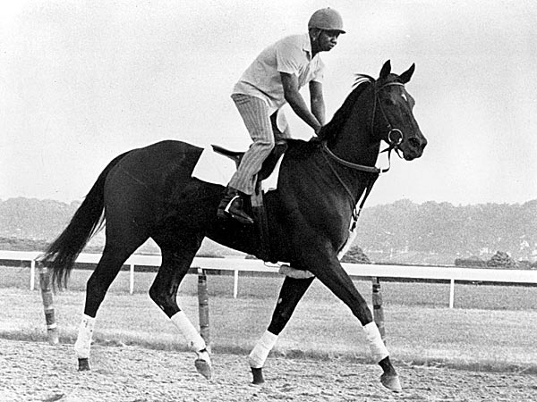 Ruffian s Last Dance