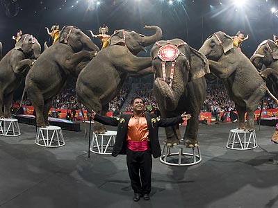 トップス L.G.B CIRCUS ELEPHANT N.J. becomes first in the nation to ban exotic animals in
