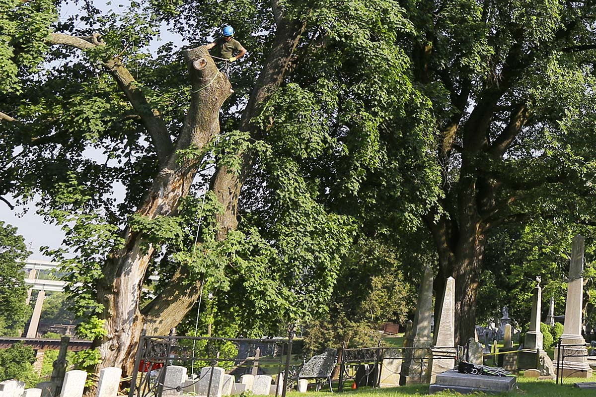 I went to Laurel Hill Cemetery over the weekend and snapped this