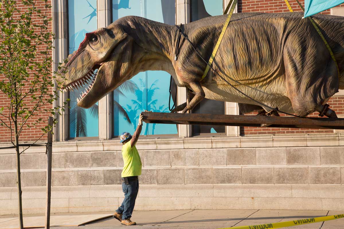 academy of science dinosaur exhibit