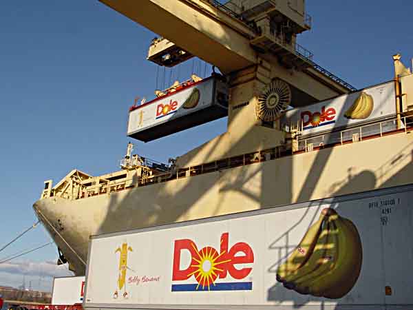 Dole may shift from Wilmington to new Paulsboro port