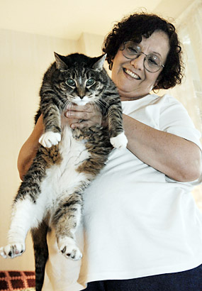 Josephine Nardi and Toonces, the driving-her-crazy cat.