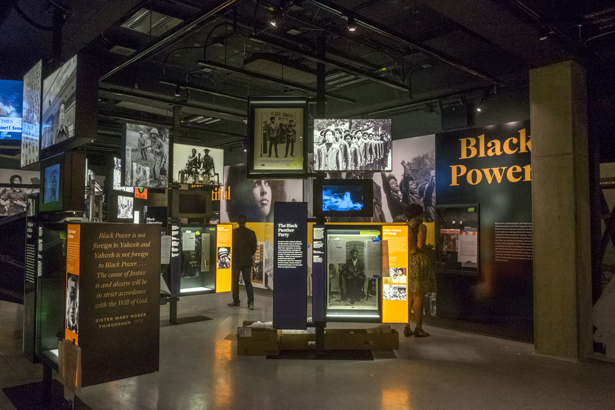 The Foundations of Black Power  National Museum of African