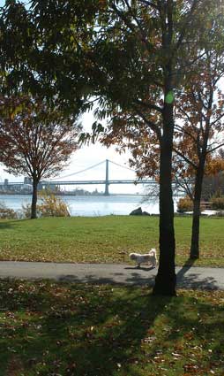 Penn Treaty Park in Fishtown in 2008. (Philadelphia Daily News file photo)