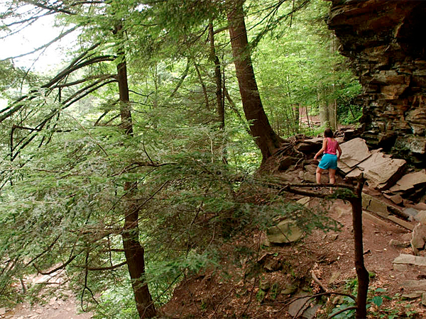 are dogs allowed camping ricketts glen state park