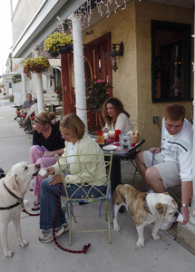 At the Gypsy Saloon in Conshohocken (from left) Samantha Hall with Lilly, Marianne Gere with Cuervo, Kim Strengari, and Michael Favacchia with Winston.
