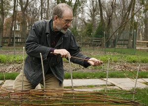 Willow Wattle Fence