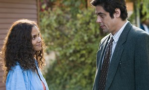 Halle Berry and Benicio Del Toro costar in the family tragedy.