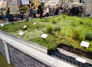 A demonstration green roof , built by the Philadelphia Water Department, is among the displays at the Flower Show. To promote water and energy savings, the department suggests varieties that would thrive in such urban conditions.