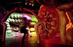 Visitor observes ograns at the Corpus museum in the Netherlands.