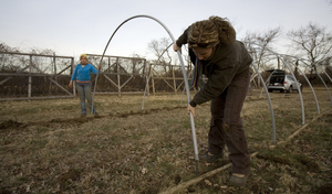 Assembling greenhouses