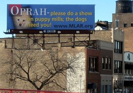 Main Line Animal Rescue billboard