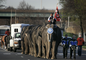 Once again, the pachyderms are back for their annual Elephant Walk, announcing the return of the Ringling Bros. and Barnum & Bailey Circus, in town today through April 27. And once again, our thoughts and prayers go out to the guy who walks behind them with the broom.
