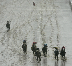 Ramon Dominguez watches his horse, Chelokee, run away during the eighth race at Churchill Downs. The colt suffered a broken right front leg and was taken to an equine hospital.