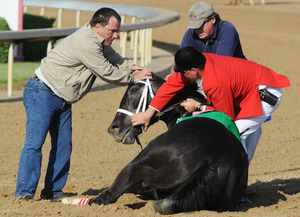 Eight Belles is held down by track personnel after fracturing her lower front legs in the Kentucky Derby. The filly, who was euthanized, might have suffered micro-fractures during the race.