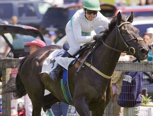 Jockey Jody Petty, who will ride Sunday's Willowdale Steeplechase, takes a turn around the track. The veteran rider said he likes the natural obstacles on Willowdale's course more than steel barriers at other tracks.