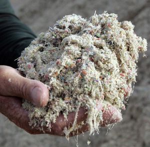 The New York Racing Association is considering replacing dirt with synthetic surfaces at its three tracks. Shown is polyTrack.