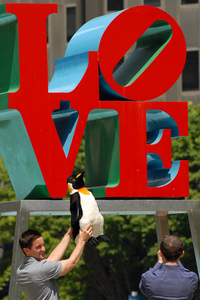 Pittsburgh fan Todd Rumsey holds a penguin at JFK Plaza for Dan Hollenback to photograph.