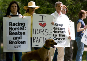 PETA protesters and horse-industry supporters both hold signs at the Kentucky Horse Racing Authority's headquarters.