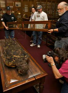 The "soap lady" is prepared for an X-ray at the Mütter Museum. Researchers (from left) Frank Cerrone, Michael Schlenk and Gerald J. Conlogue ready a glass case.