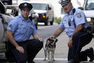 Sgt. Jim DeAngelo (left) and Officer Carl Fierimonte rescued this German shepherd-beagle mix that was roaming the streets in Center City yesterday.