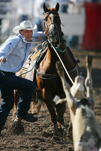 Marty Becker lassos a calf during Cheyenne Frontier Days, in Cheyenne, Wyo., last year. As this year's rodeo gets under way, fans are defending the sport against allegations of animal cruelty.