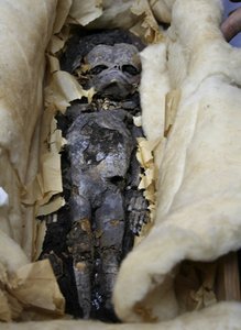 One of two fetuses found in Tut's tomb. DNA samples from the fetuses will be compared with each other and with the king.