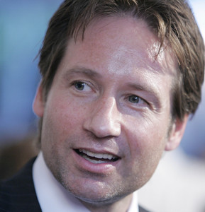 David Duchovny said he voluntarily entered the treatment facility.