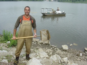 Jeff Ashley , a Philadelphia University chemistry professor, joined Academy of Natural Science staff to study PBDE in fish.