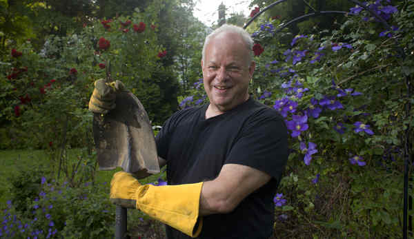 Мартин Селигман Оптимизм - patriotresurs