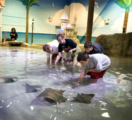 Phillies Excitement Bubbles At Camden's Adventure Aquarium: See Photos