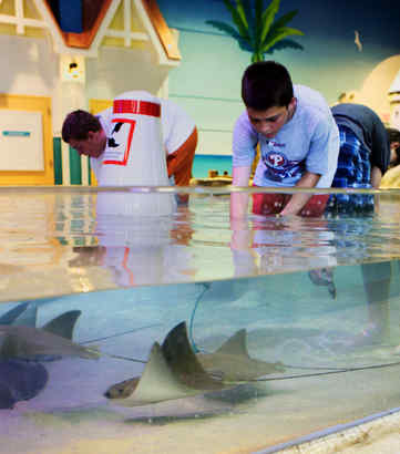 Phillies Excitement Bubbles At Camden's Adventure Aquarium: See Photos