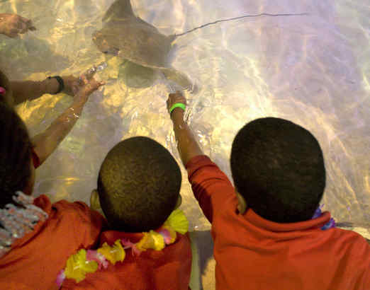 Phillies Excitement Bubbles At Camden's Adventure Aquarium: See Photos