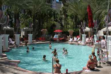 Flamingo Hotel Adult Only Pool  Saturday Pool Vibe at GO Pool 