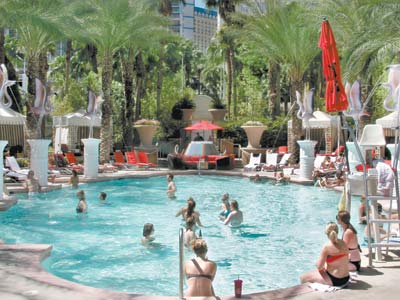 Go Pool - Flamingo Las Vegas, 3555 Las Vegas Blvd S, Inside