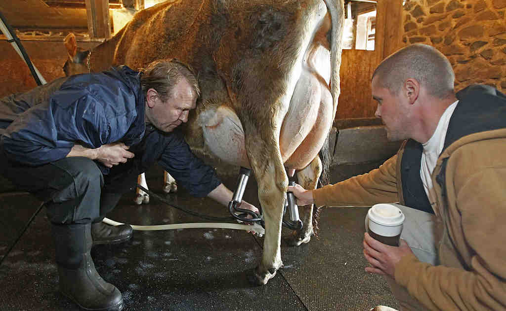 Dairy - Raw Milk - Gallon - MUST BE A COWSHARE OWNER