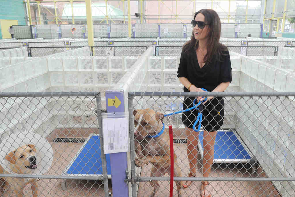 For dog defenders Jen & Chase Utley, it's the 'pits