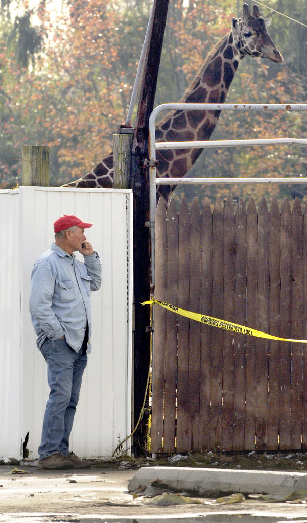 More trouble for a Burlco zoo