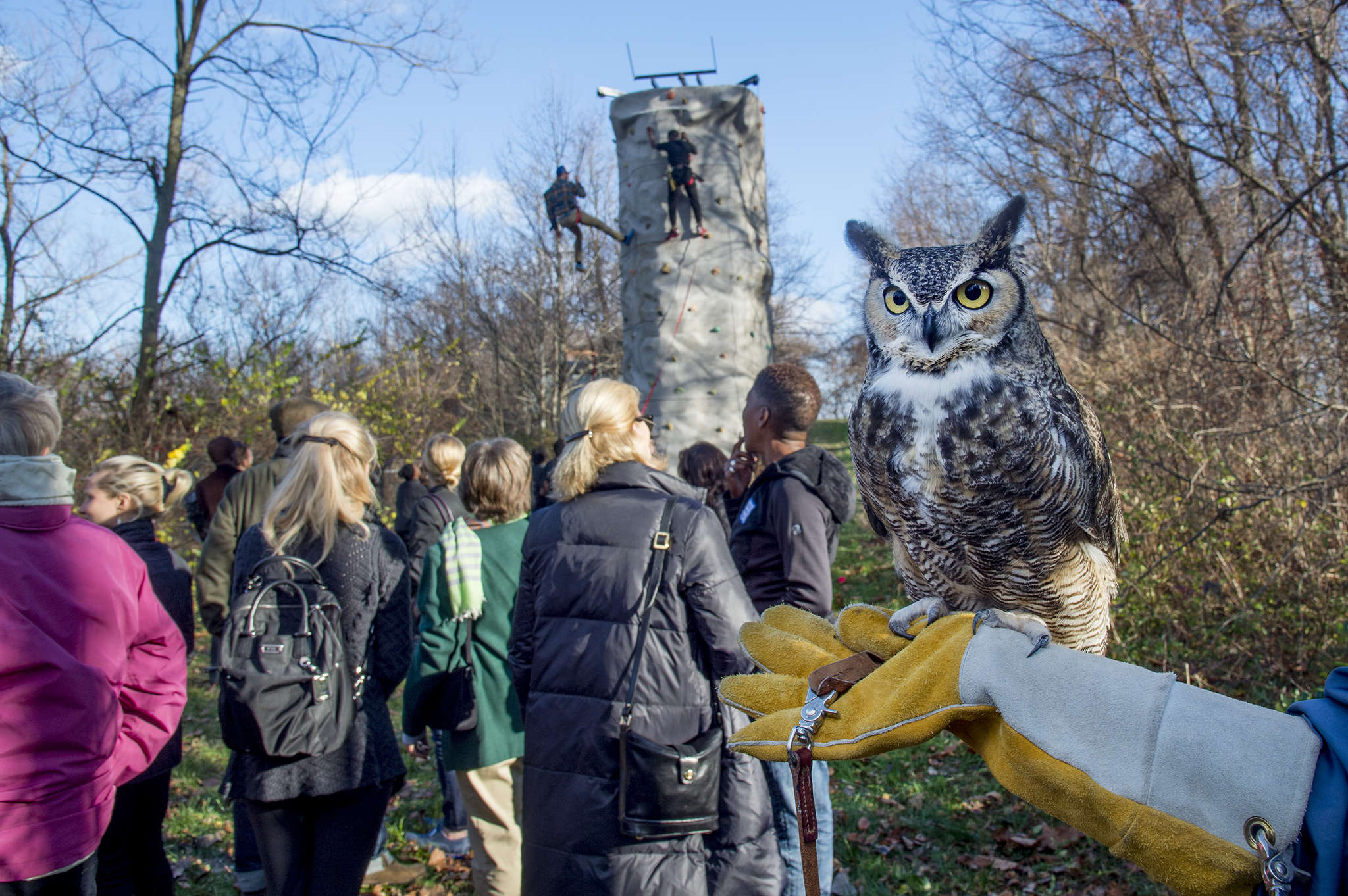 Superb Owl' takes flight: Social media filled with bird photos ahead of  56th Super Bowl in California