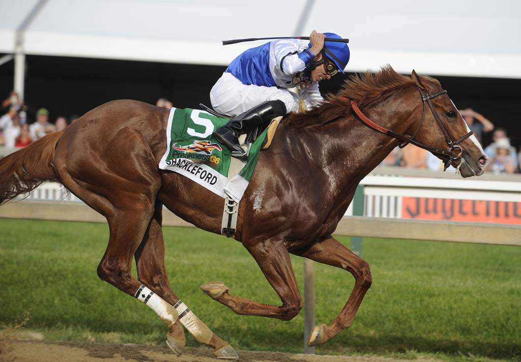 Preakness Stakes winner Shackleford ends Animal Kingdom's bid for