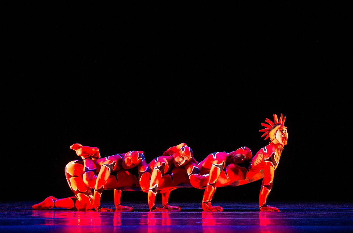 その他 Flipix Animated The MAXIXE Dance Lesson Flipix Animated The MAXIXE Dance Lesson