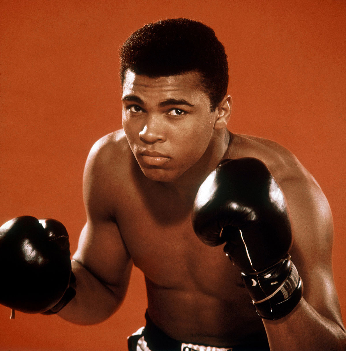The Greatest, Muhammad Ali, dies at 74 pic