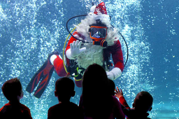 Scuba Santa at the Adventure Aquarium