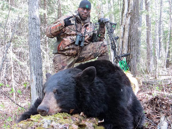 Bear600