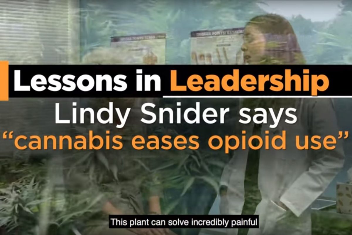 Frame grab from third Lessons in Leadership with Lindy Snider. 