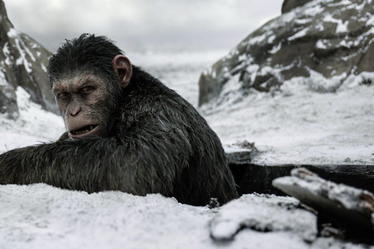 "WAR FOR THE PLANET OF THE APES": (Photo: Twentieth Century Fox) 