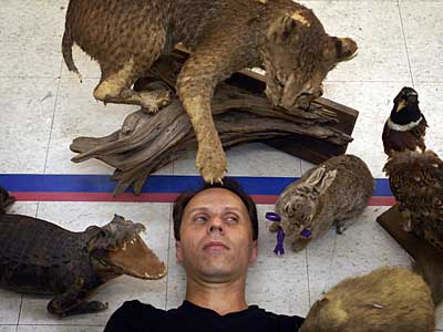 Critters surround Live Arts/Fringe director Nick Stuccio. They&acute;ll appear in the "Flesh and Blood and Fish and Fowl" event in an old drugstore. (RON TARVER / Inquirer)