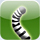 Green Lemur