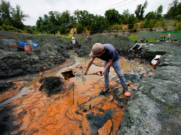 mantua dinosaur dig